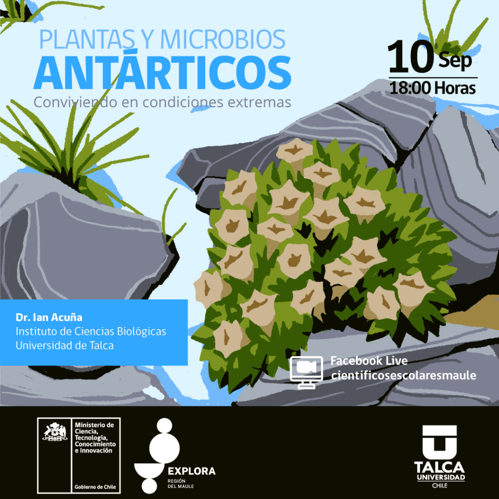 PLANTAS-ANTARTICAS-2
